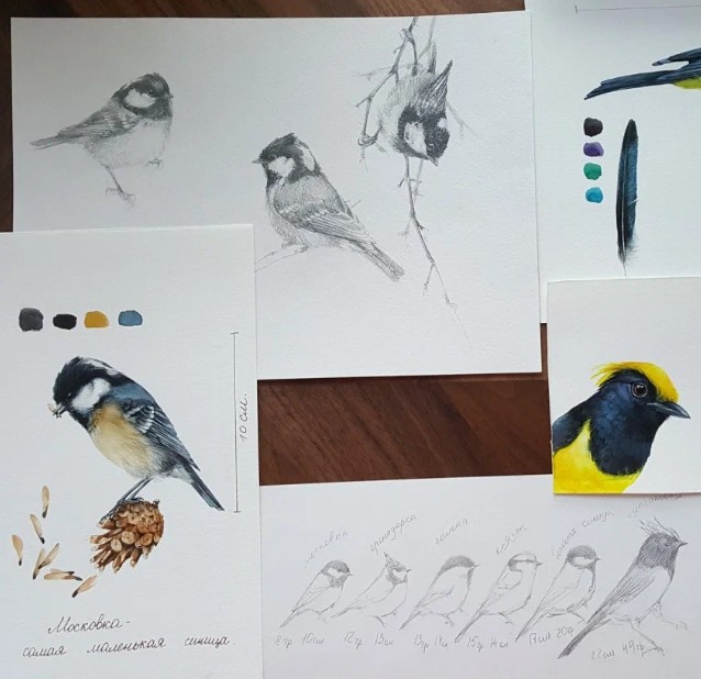 Иллюстрации птиц Таши Габеевой
