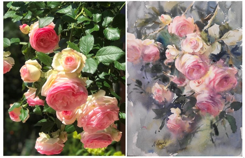 Акварельные розы Марины Ласаевой