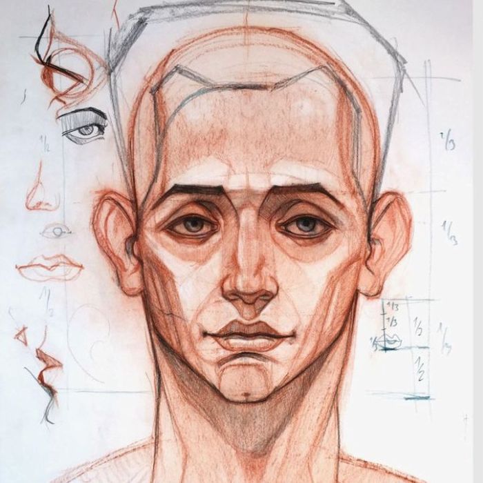 Голова человека карандашом и сангиной