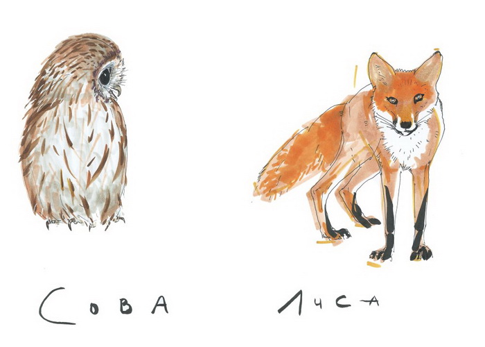 Уроки Fox&Owl