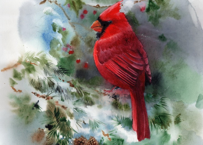 БЕСЕДИНА КАРДИНАЛ.jpg (140 KB)