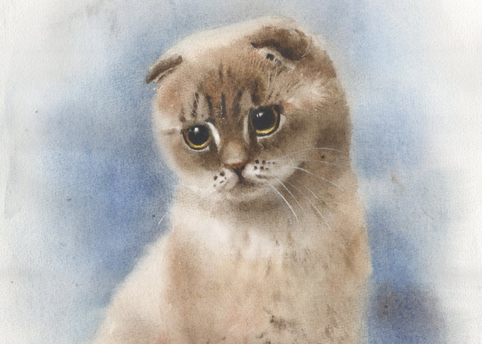 беседина кошка.jpg (129 KB)