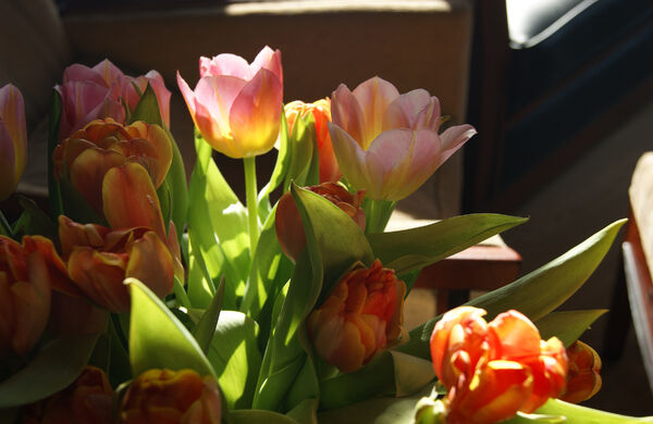 Рисуем по фотографии правильно, чтобы создать живой сюжет «как с натуры»