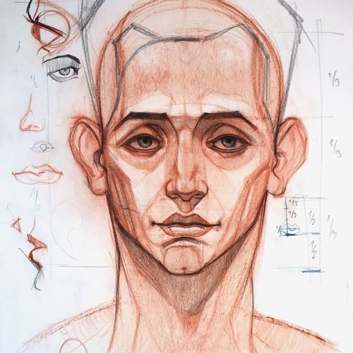 Анатомия головы. Курс по рисованию Льва Каплана