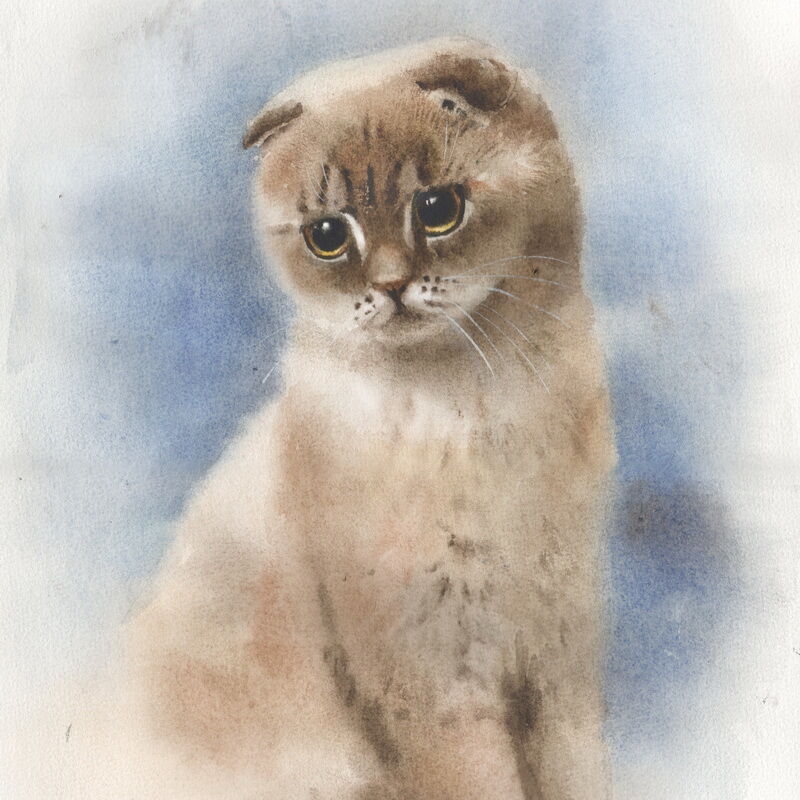 Как нарисовать кошку
