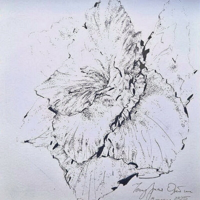 Цветы в графике