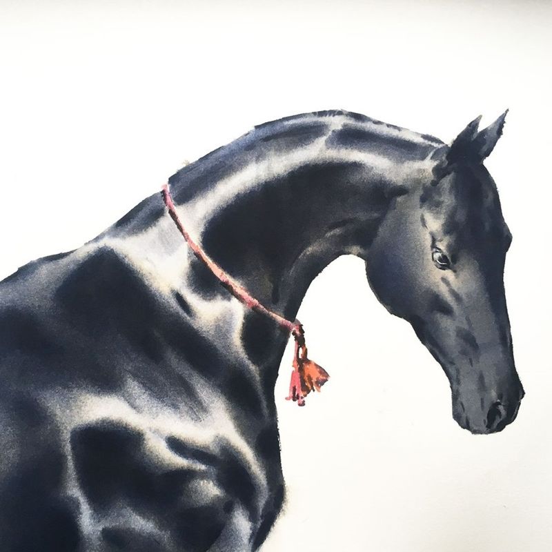 Как нарисовать лошадь. Мастер-класс художника Анны Ивановой