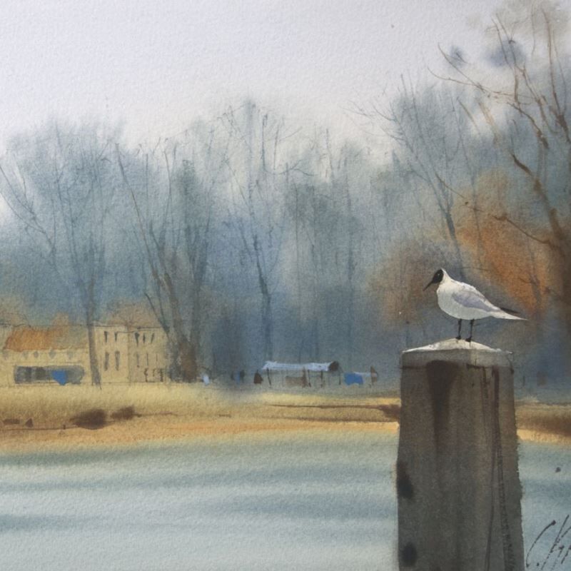 Шкатулка уроков. Чайка