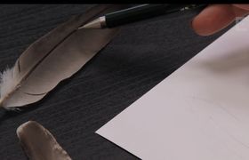 Нарисовать карандашом перо птицы. Видеоуроки Таши Габеевой.