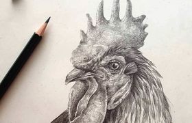 Графика, птицы. Видеокурс Таши Габеевой.