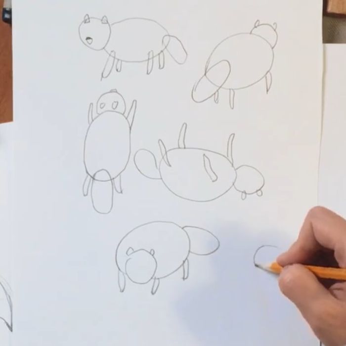 Как нарисовать животное : птицу, зверя, рыбу?